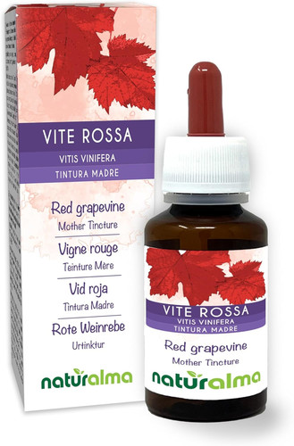 Vite rossa - vite, (vitis