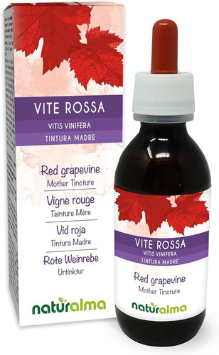 Vite rossa - vite, (vitis