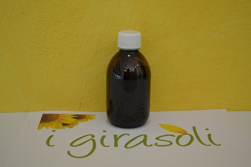 Vitis vinifera - vitis, (vite