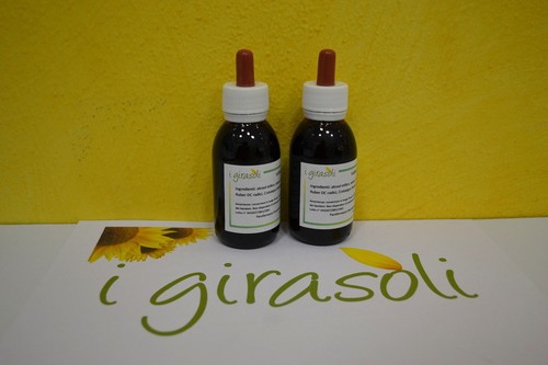 Vitis vinifera - (vite, rossa)